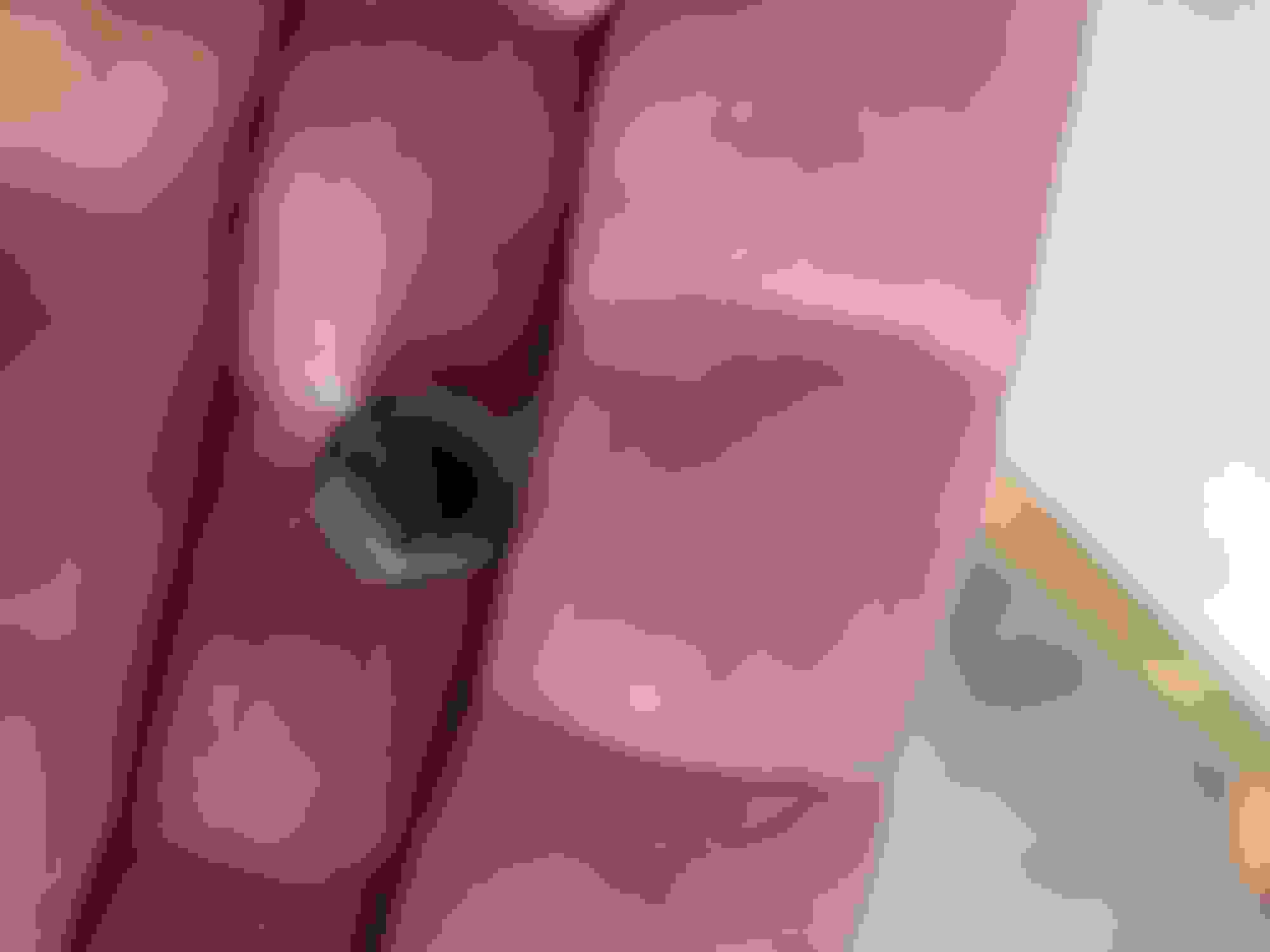 wiper arms 1953 F100 Ford Truck Enthusiasts Forums