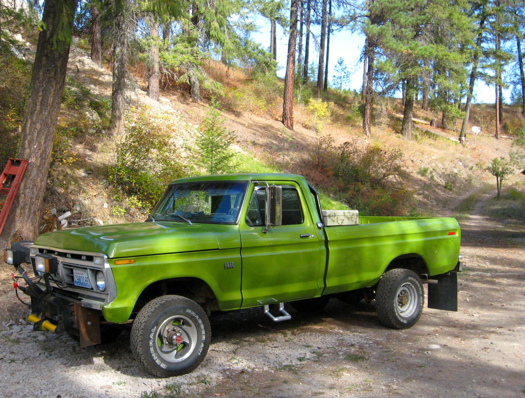 Paint your truck yourself? Ford Truck Enthusiasts Forums