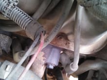 1995 f150...1995 wires