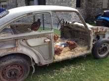 The Chicken's Car