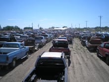Unofficial count of Guiness record attempt for longest pickup parade at Vale, Oregon: 438.