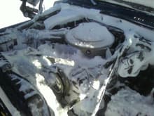 Engine compartment after 12 hour blizzard