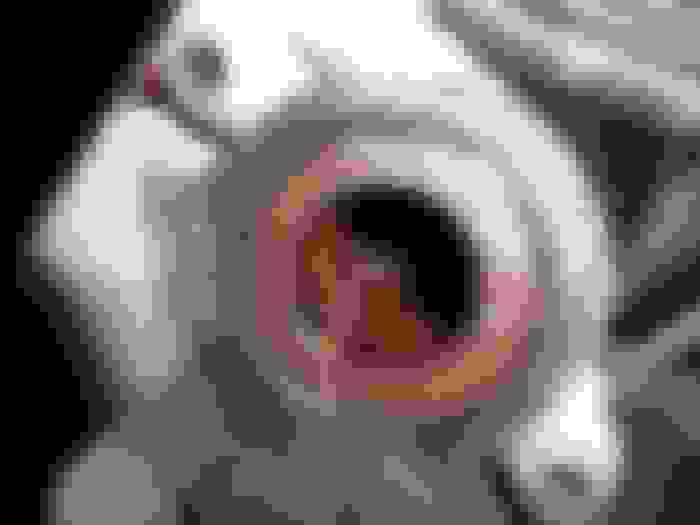 sticking caliper is warping my rotor Ford Truck Enthusiasts Forums