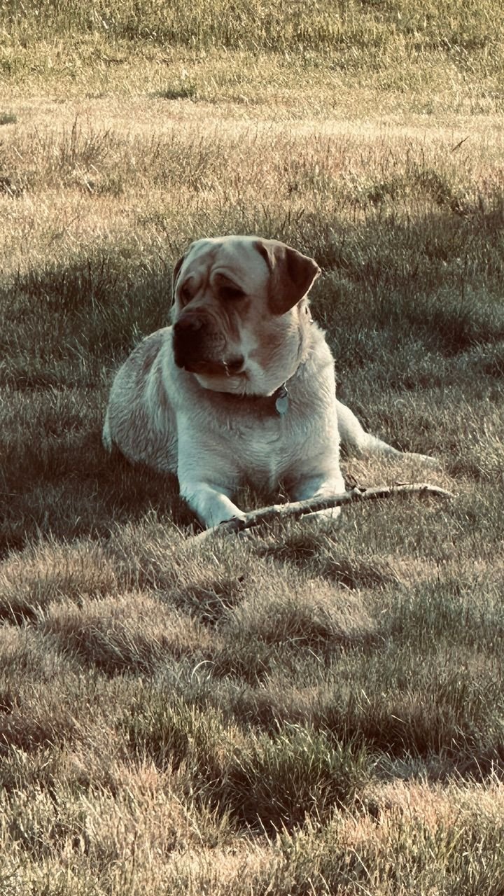 Supervisor