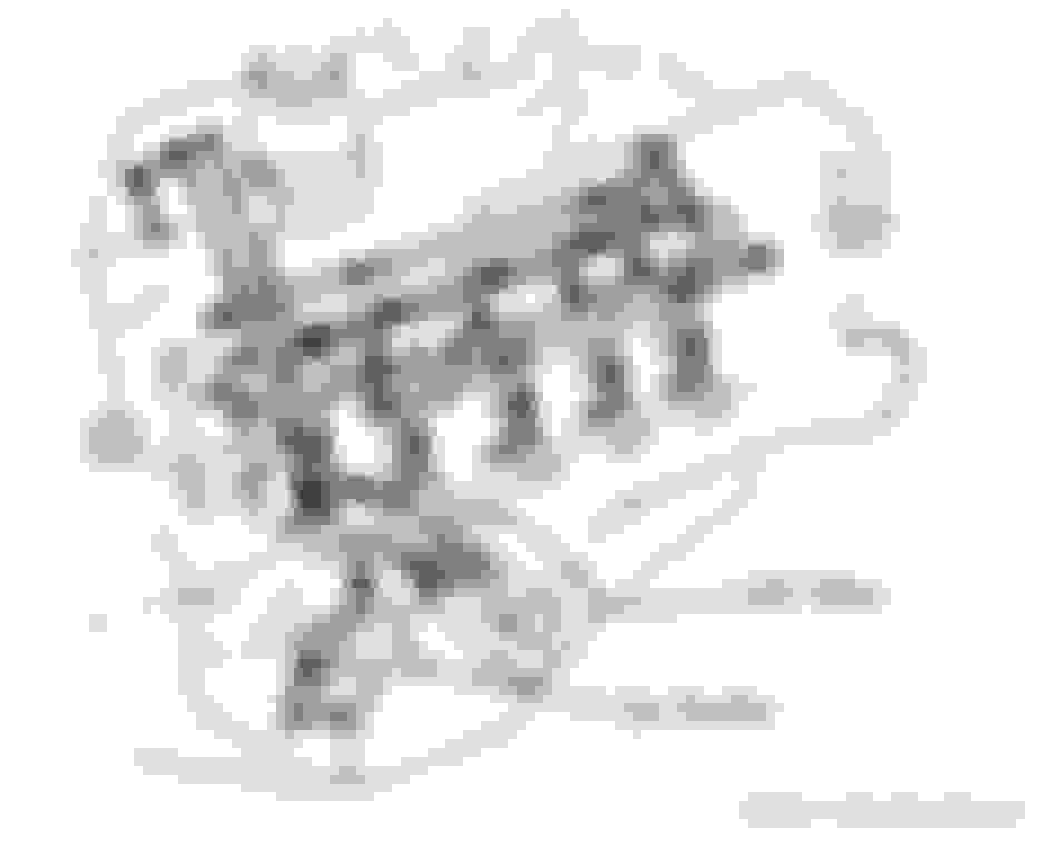 Oil pump not priming entire engine Ford Truck Enthusiasts Forums