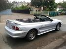 98 Tang-Top
