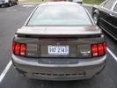My Stang
