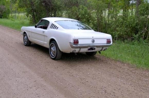 This Stang was like a trained assassin for imports-it looked stock but flew when called upon.Still miss it.