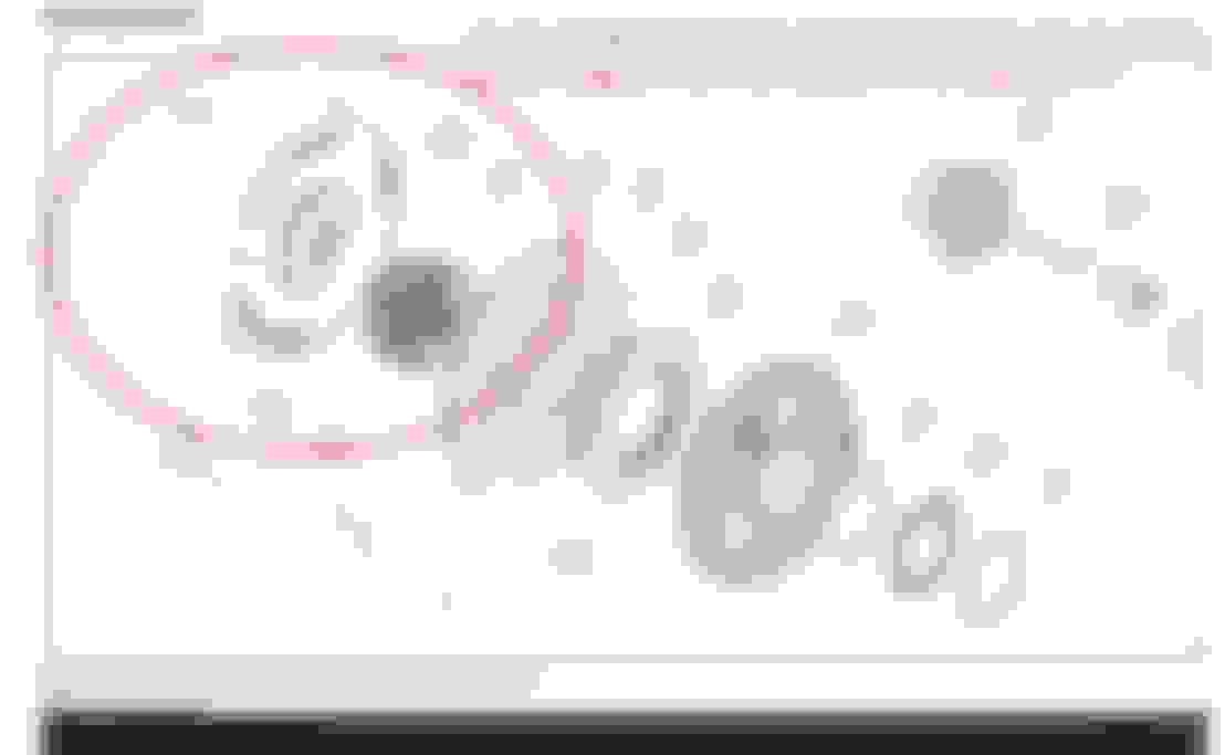 Compensator Shim Harley Davidson Forums