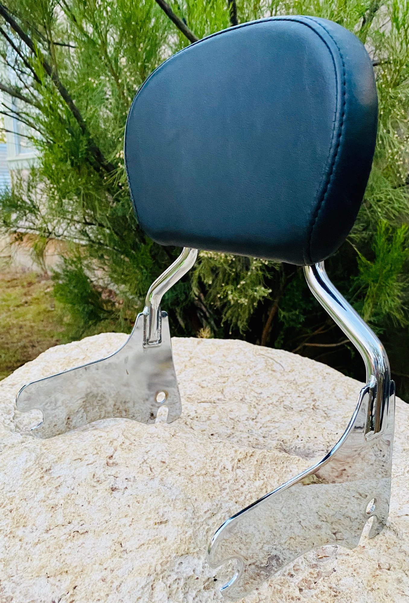 sissy bar pad Harley Davidson Forums