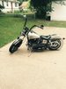 81 FXE Shovelhead