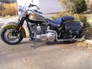 2007 Solftail Springer