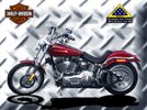 Garage - Softail Deuce Garage - Softail Deuce