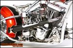 The Chrome Chopper