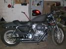 08 sportster