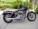 2003 Dyna