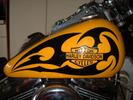 Bike pics  in different stages