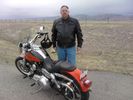 The Scoots