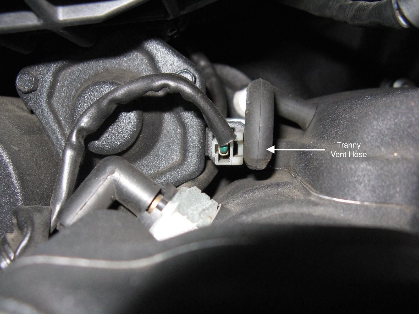 Where is the transmission vent on a 2012 Fat Bob? Harley Davidson Forums