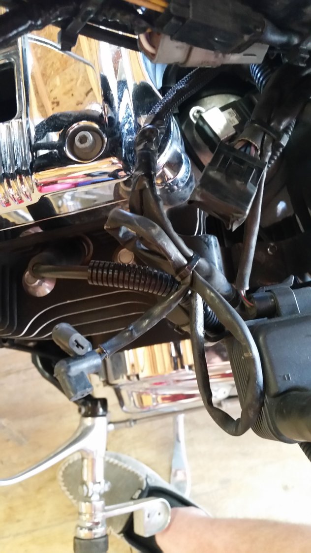 Help me identify which wires these are? - Harley Davidson Forums