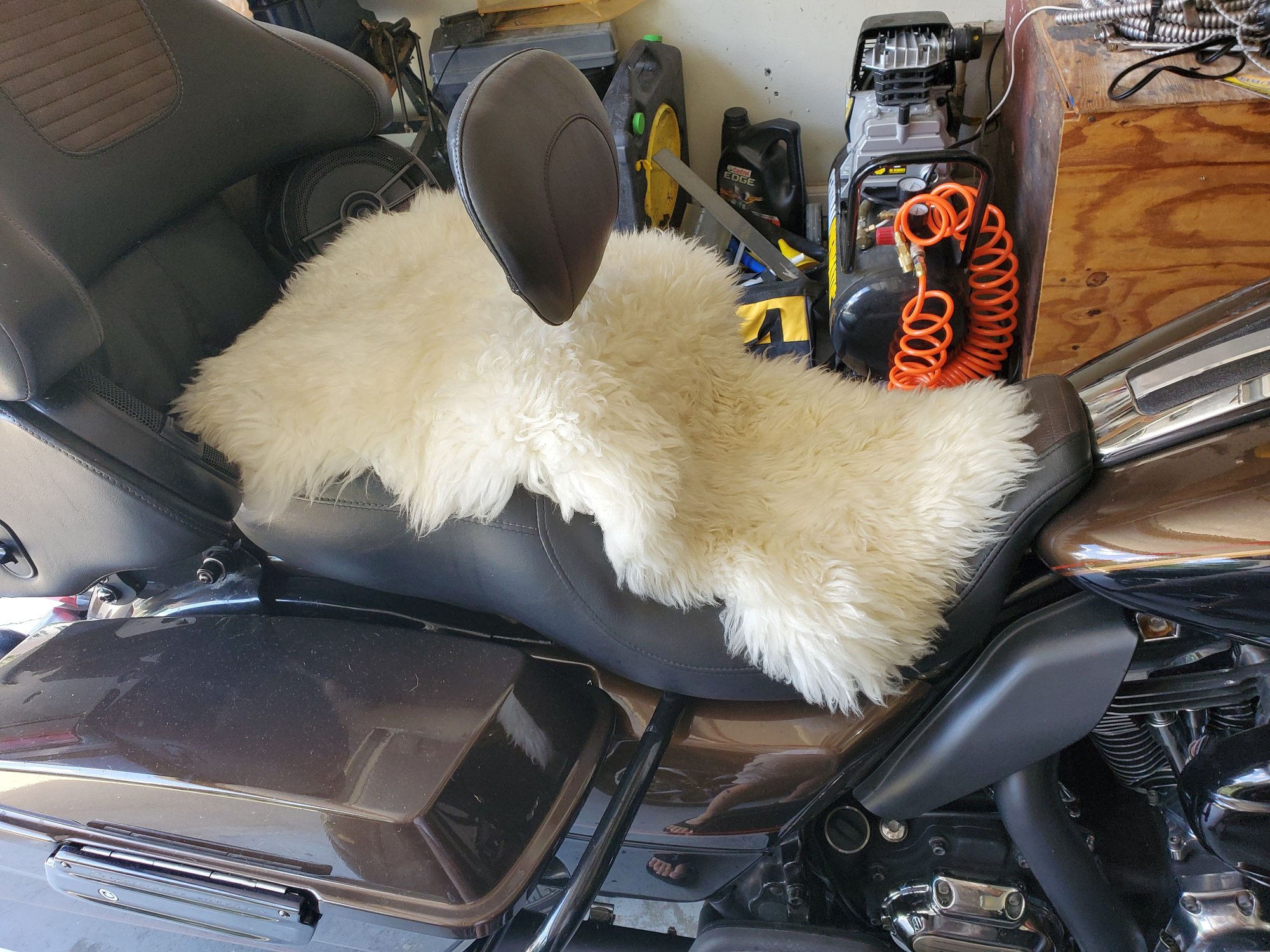 Sheepskin seat cover Page 6 Harley Davidson Forums