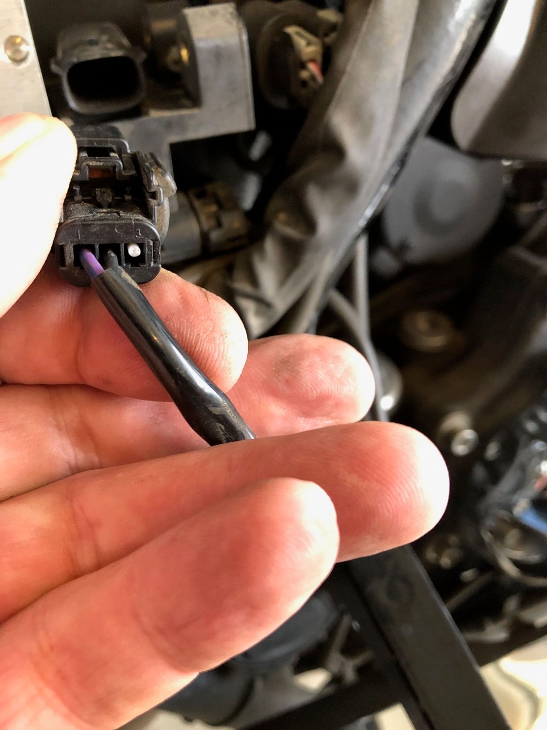 Where to hook up the heated seat on my bike? Page 2 Harley Davidson