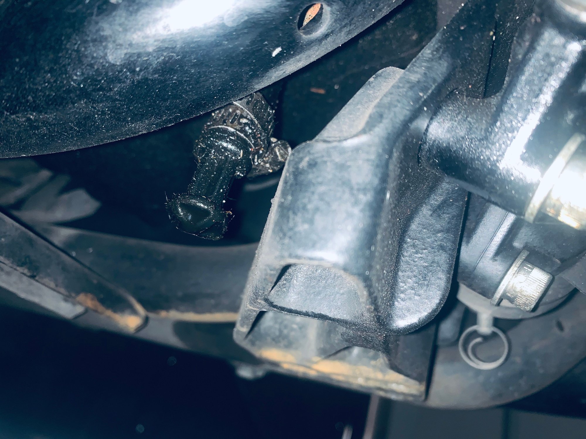 Oil leak Sportster 883 2017??? Harley Davidson Forums
