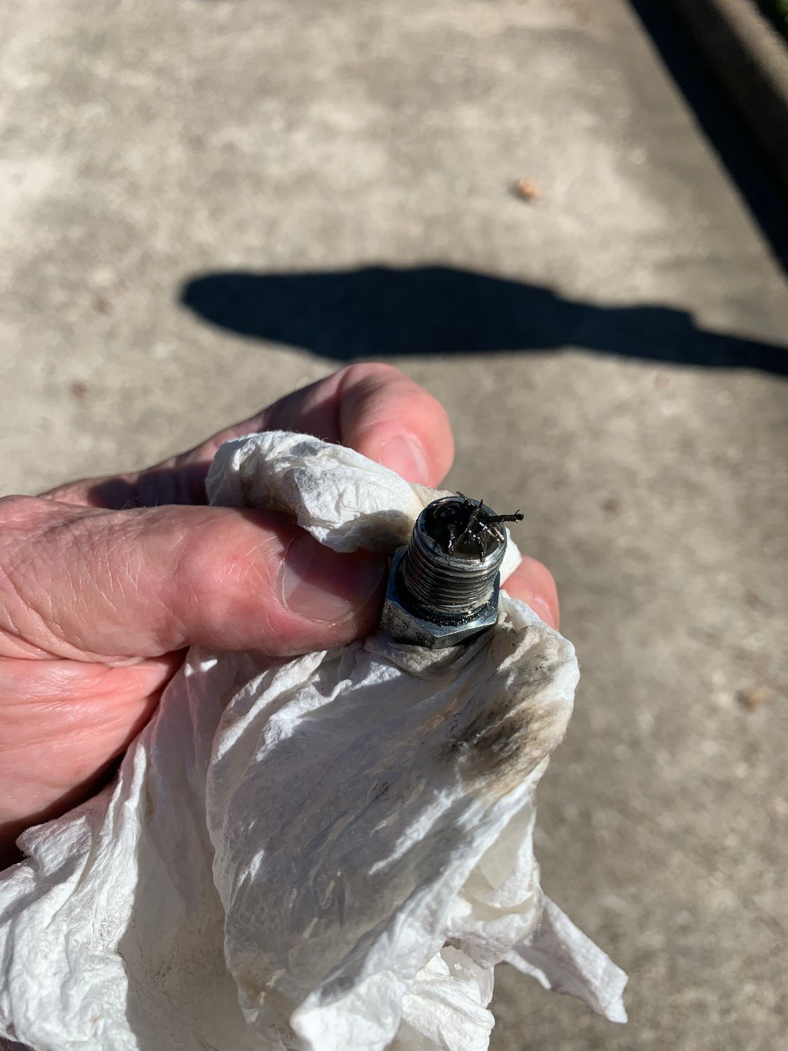 Metal On Primary Drain Plug Harley Davidson Forums