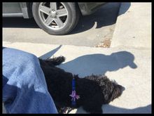 ... went and found a friend....