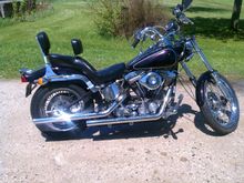 Just got a bath...after sitting in the garage for about 10 years.