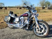 2014 Harley-Davidson FXDL
Stage 1 w/ D&D Fat Cat Exhaust, Lucky Daves Seat
