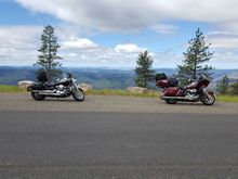 My RGU and the wife's Vulcan 900.