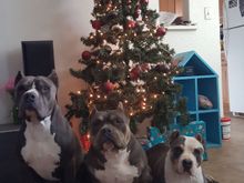 Woofers available in 12 10 8 all in stock