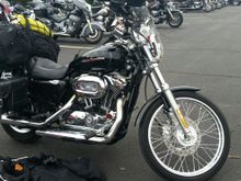 My Sportster
