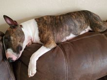 Still lazy as ever too.