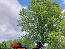 I could have rode for hours and hours.