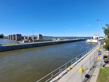 No bald eagles around today. 