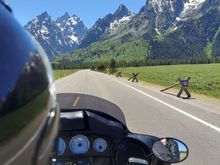From the saddle, Grand Teton NP.