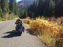 Idaho…
