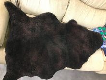 Looks like the bear in The Revenant now :)