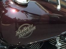 Here's a better look at the color