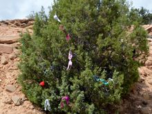 Somewhere in Utah.  Hwy 12 I think.