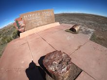 Petrified Forest