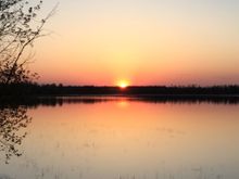 Daughter-in-law just this from the lake. Will be headed back up there in a couple hours.