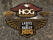 I didn't even know the Ladies of Harley had a separate patch
