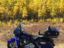 Yeah, I know it's not a softail but it's two tone blue.