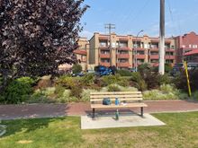 … you can park right beside the lake to have lunch…