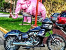 Perfect size to compliment the dyna and not as long as my fatcat which goes past the swing arm