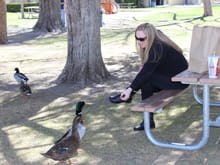 LUNCH IN BISHOP CA WITH MY WIFE....AND THE DUCKS