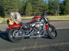 2011 Nightster 1200